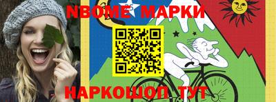 кокс Гатчина