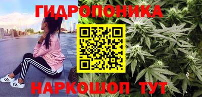 кокс Гатчина