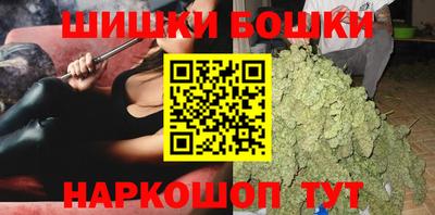 кокс Гатчина